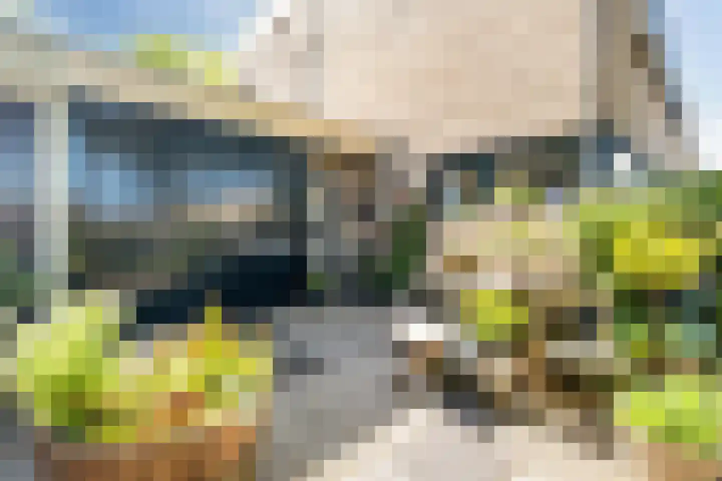 Den Tollstraat 42 Koudekerk aan den Rijn thumbnail 6