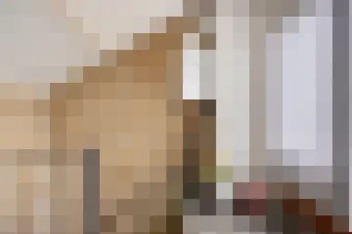 Den Tollstraat 46 Koudekerk aan den Rijn thumbnail 30