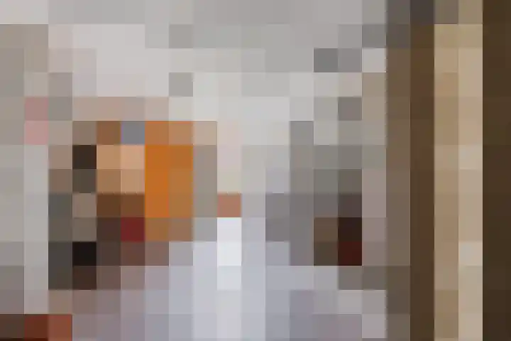 Den Tollstraat 46 Koudekerk aan den Rijn thumbnail 38