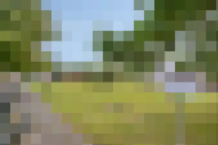 Den Tollstraat 46 Koudekerk aan den Rijn thumbnail 43