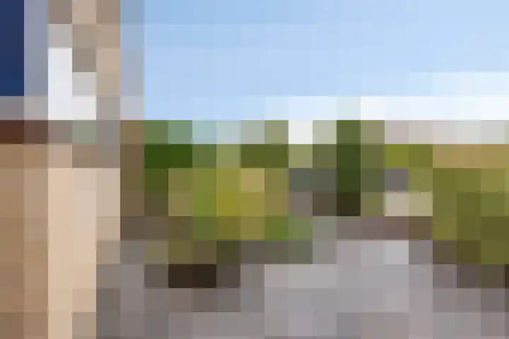 Den Tollstraat 46 Koudekerk aan den Rijn thumbnail 6