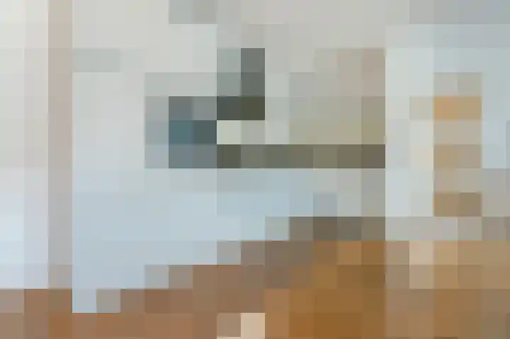 den Toversnest 213 Heeze thumbnail 10
