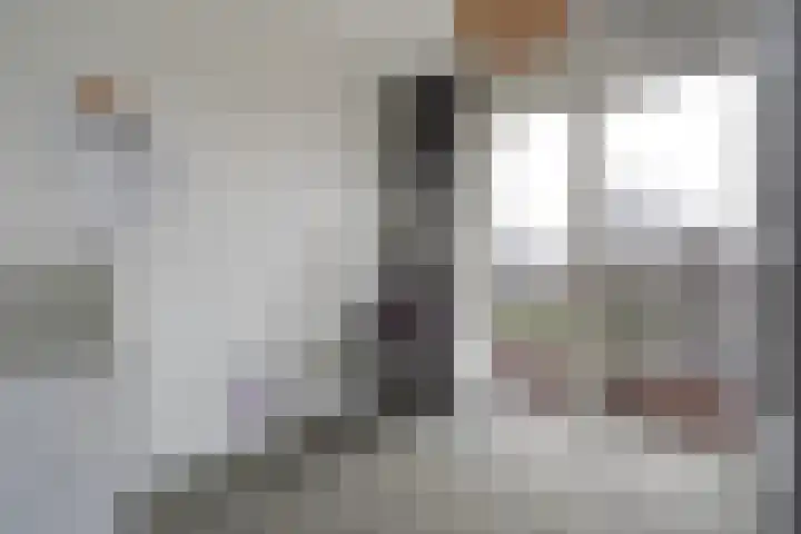 den Toversnest 213 Heeze thumbnail 13