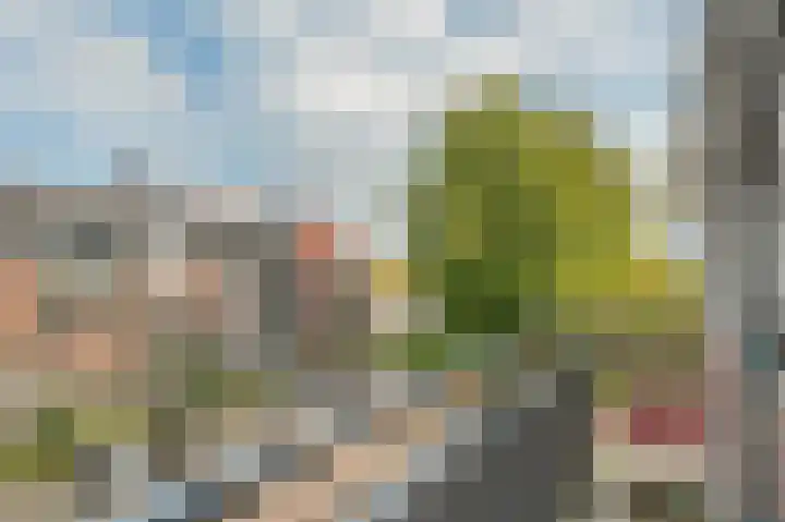 den Toversnest 213 Heeze thumbnail 23