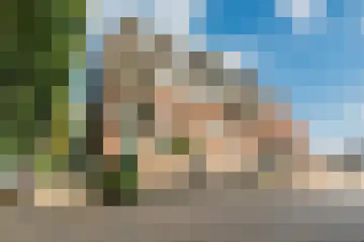 den Toversnest 213 Heeze thumbnail 26