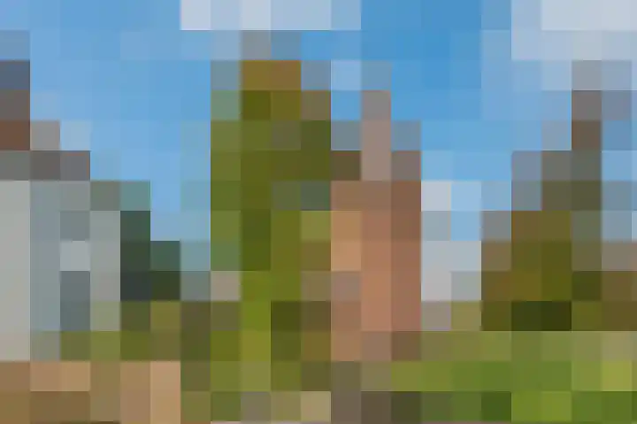 den Toversnest 213 Heeze thumbnail 28