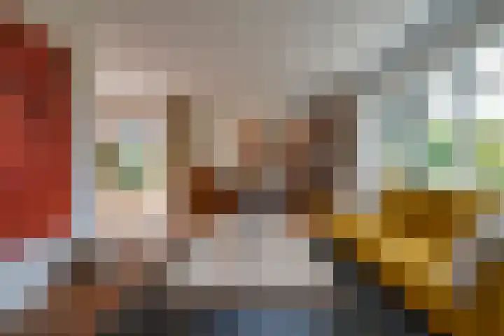 den Toversnest 213 Heeze thumbnail 29