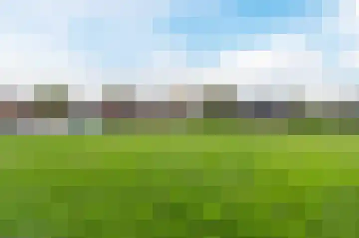 den Toversnest 213 Heeze thumbnail 29