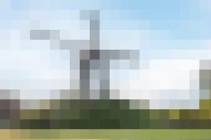 den Toversnest 213 Heeze thumbnail 30