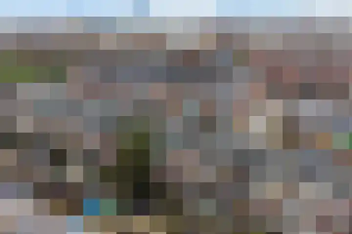 den Toversnest 213 Heeze thumbnail 4