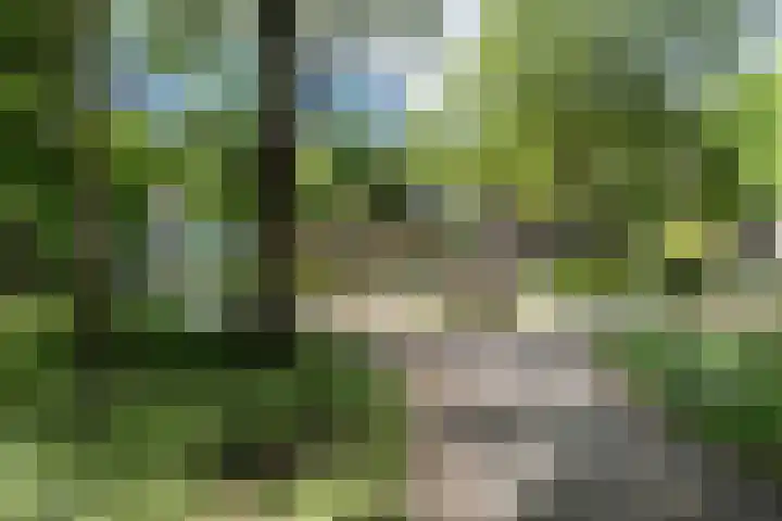 den Toversnest 213 Heeze thumbnail 5