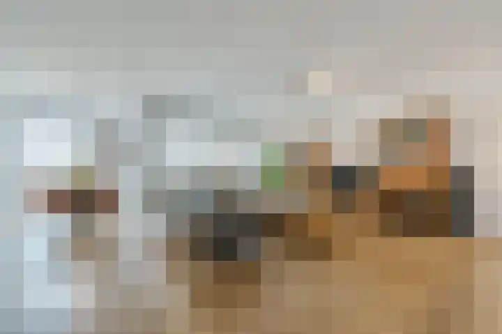 den Toversnest 213 Heeze thumbnail 6