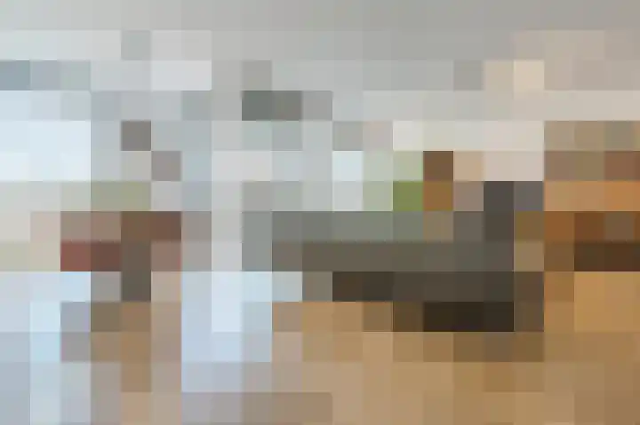 den Toversnest 213 Heeze thumbnail 8