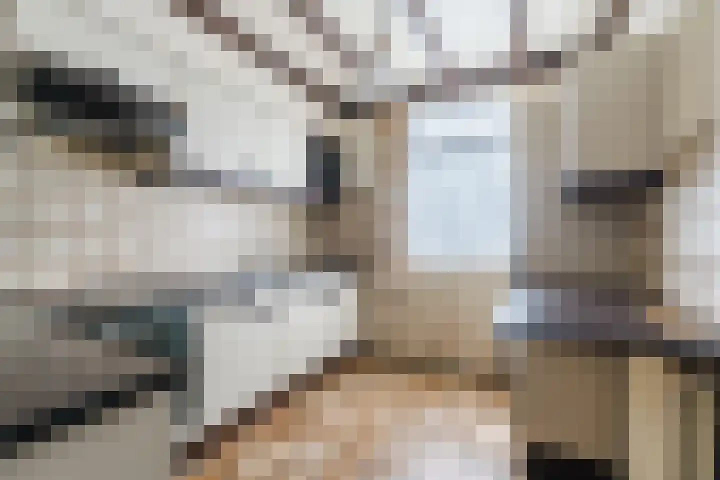 Den Uil 28 Erp thumbnail 11