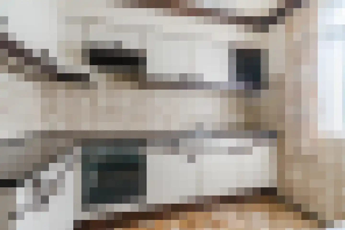 Den Uil 28 Erp thumbnail 12
