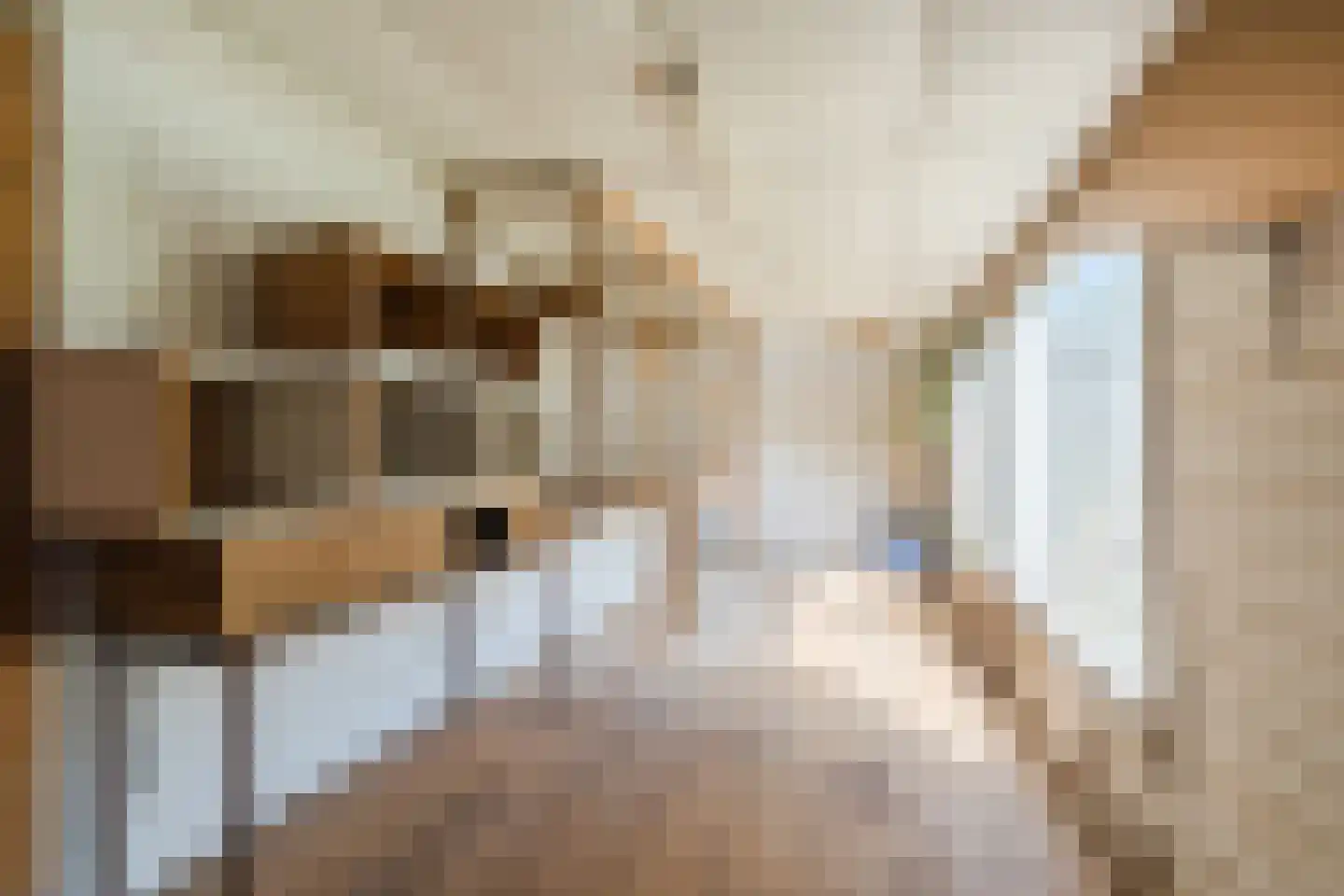 Den Uil 28 Erp thumbnail 28