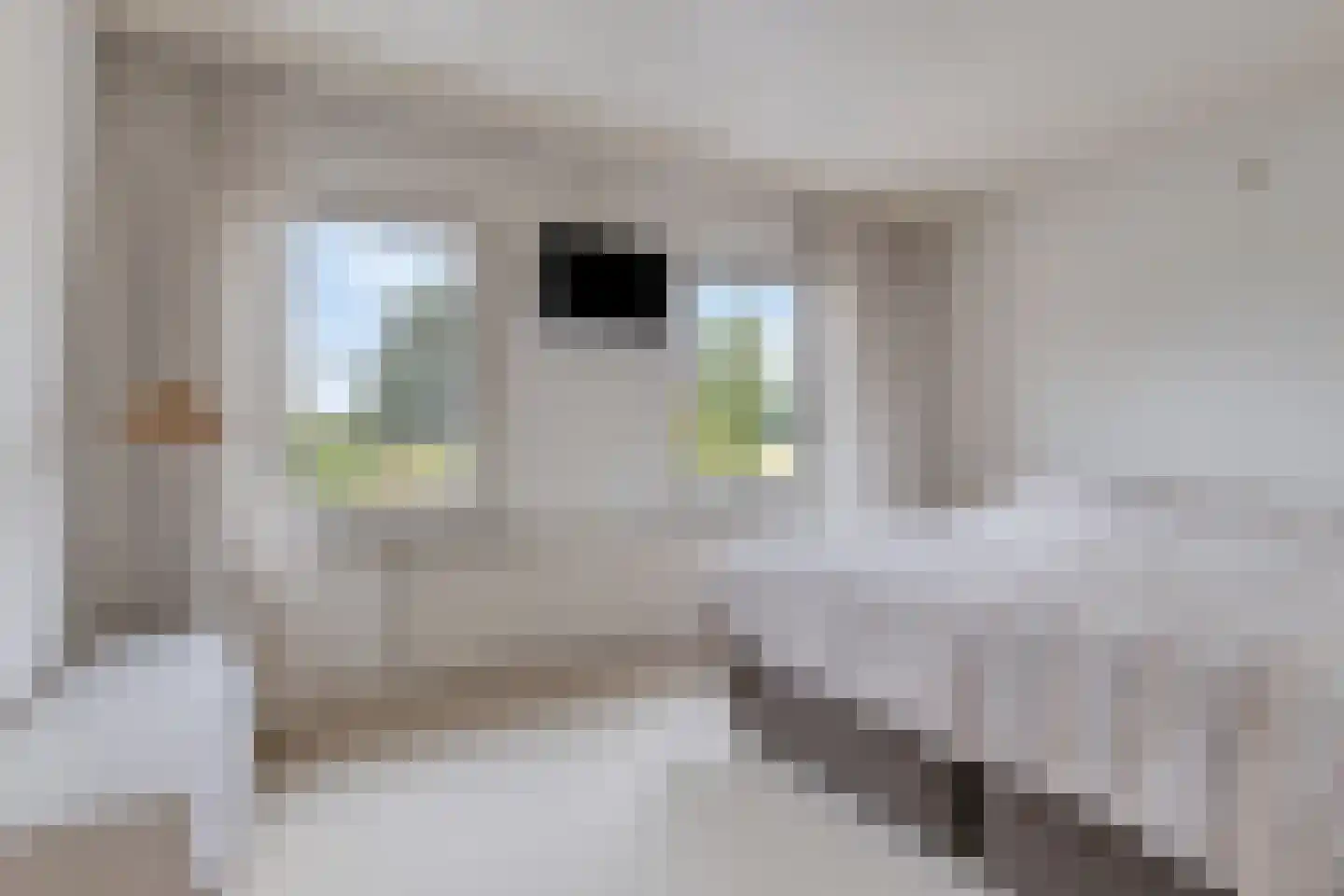 den Urling 20 Sambeek thumbnail 17