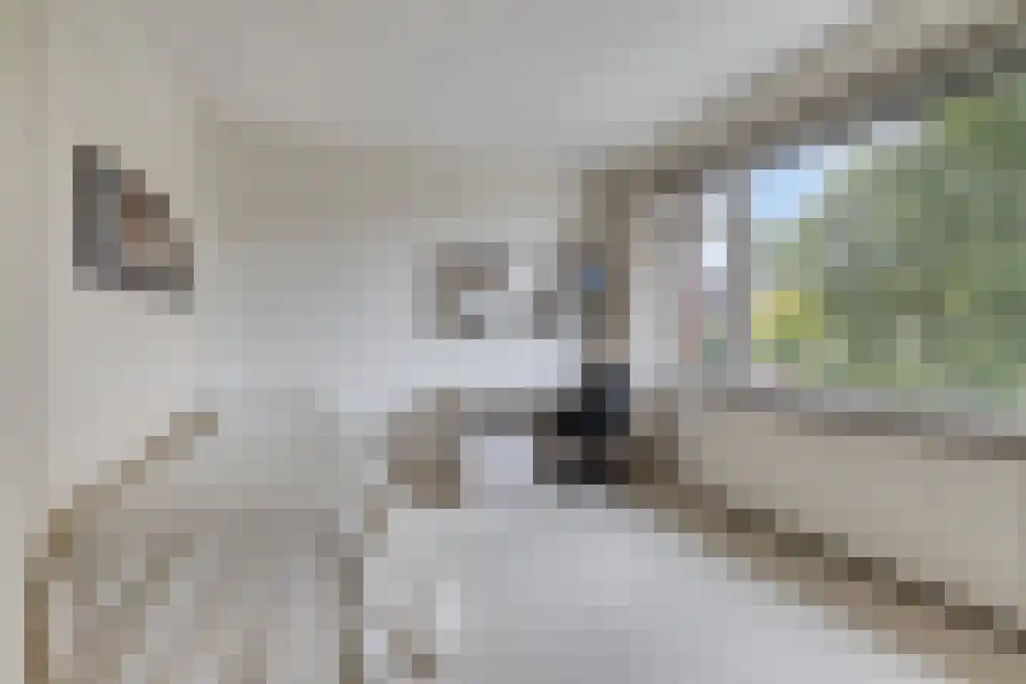 den Urling 20 Sambeek thumbnail 18