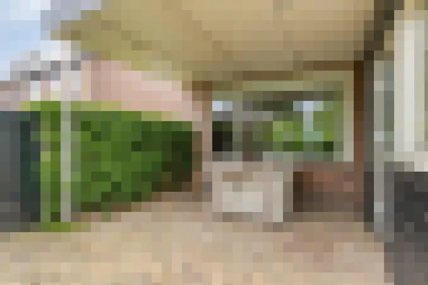den Urling 20 Sambeek thumbnail 25