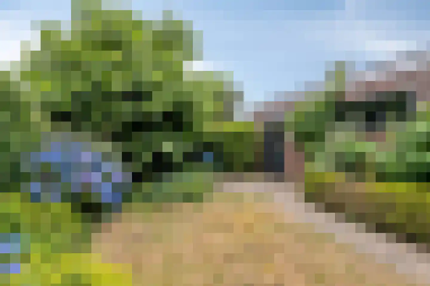 den Urling 20 Sambeek thumbnail 27
