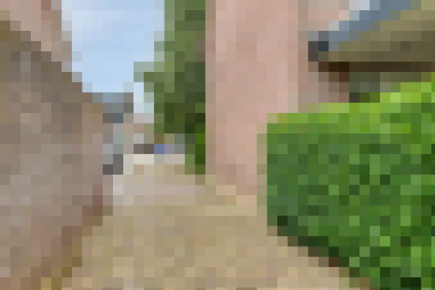 den Urling 20 Sambeek thumbnail 29