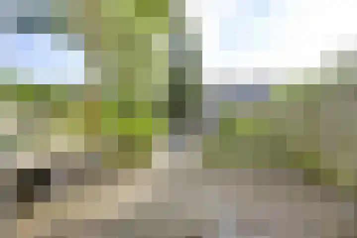 Kantoor foto van Den Uyl Real Estate