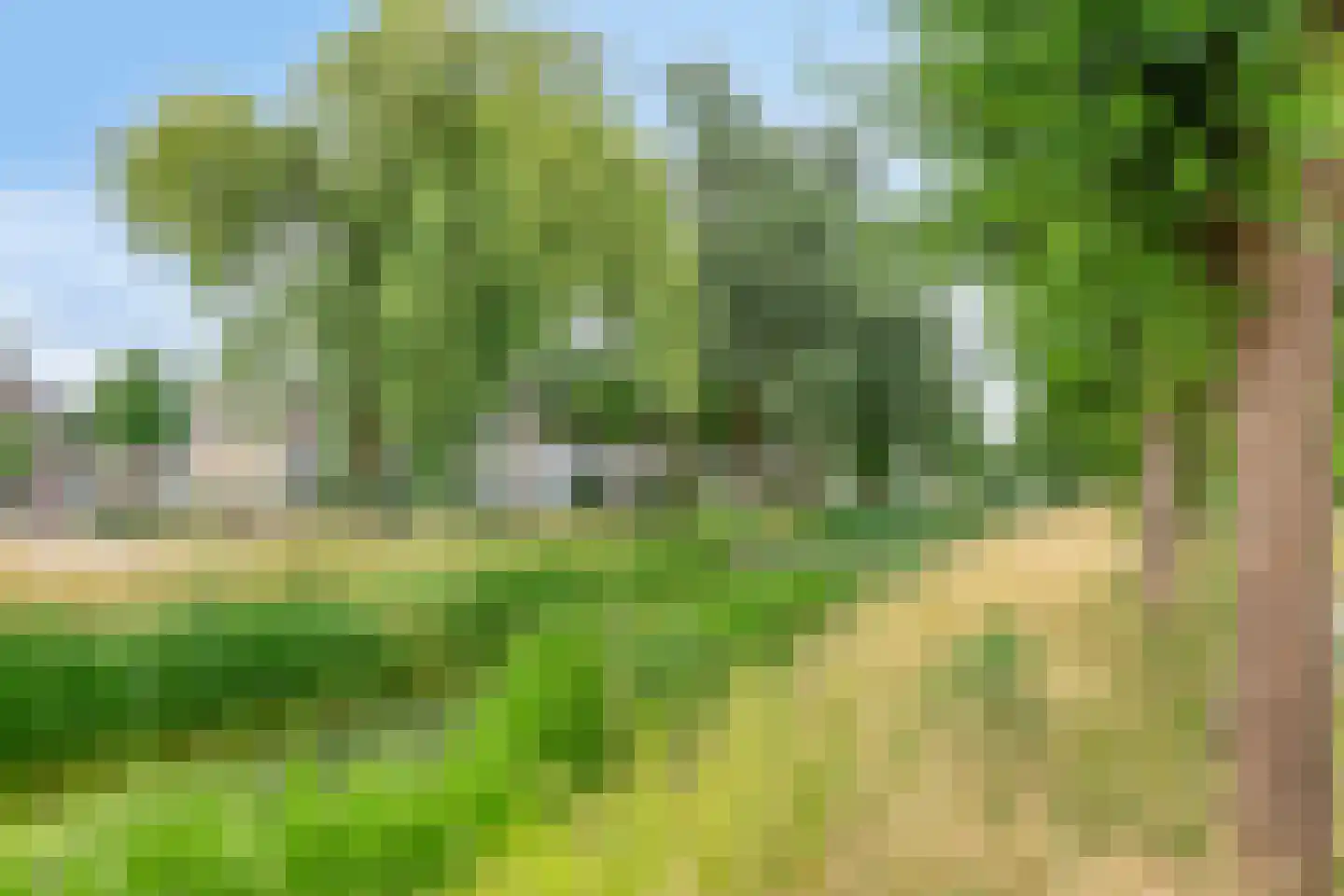 Den-Uylborch 41 Rosmalen thumbnail 34