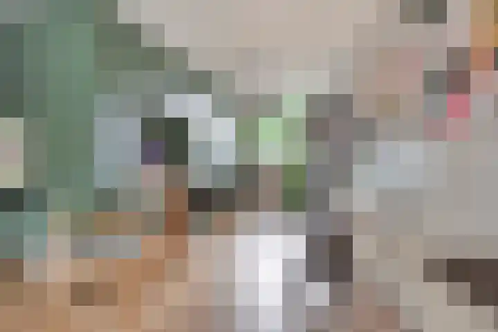 Den-Uylborch 7 Rosmalen thumbnail 12