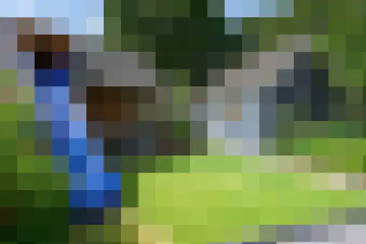 Den-Uylborch 7 Rosmalen thumbnail 40