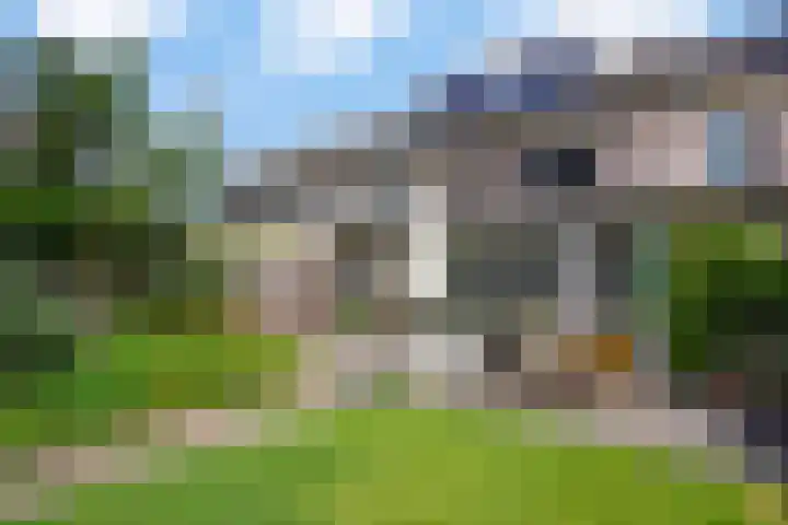 Den-Uylborch 7 Rosmalen thumbnail 44