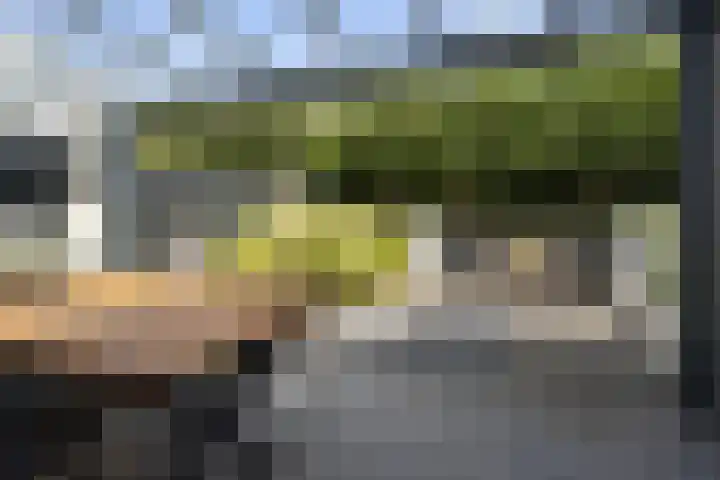 Den Uylhof 66 Etten-Leur thumbnail 31