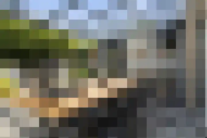 Den Uylhof 66 Etten-Leur thumbnail 32