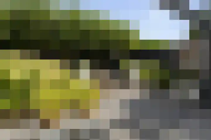 Den Uylhof 66 Etten-Leur thumbnail 33