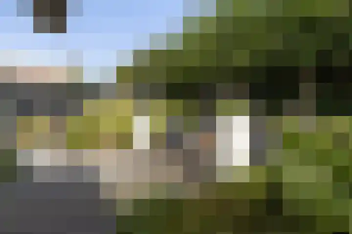 Den Uylhof 66 Etten-Leur thumbnail 35