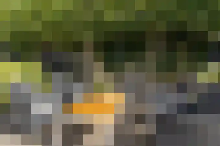 Den Uylhof 66 Etten-Leur thumbnail 36