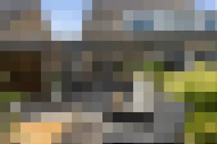 Den Uylhof 66 Etten-Leur thumbnail 37