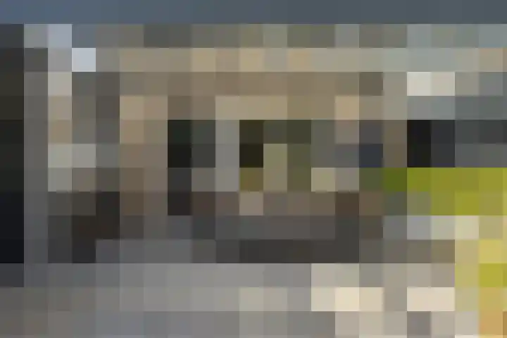Den Uylhof 66 Etten-Leur thumbnail 4