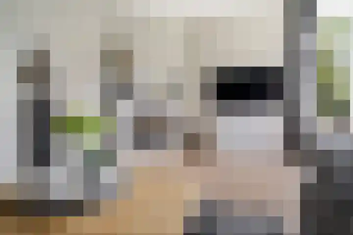 Den Uylhof 66 Etten-Leur thumbnail 8