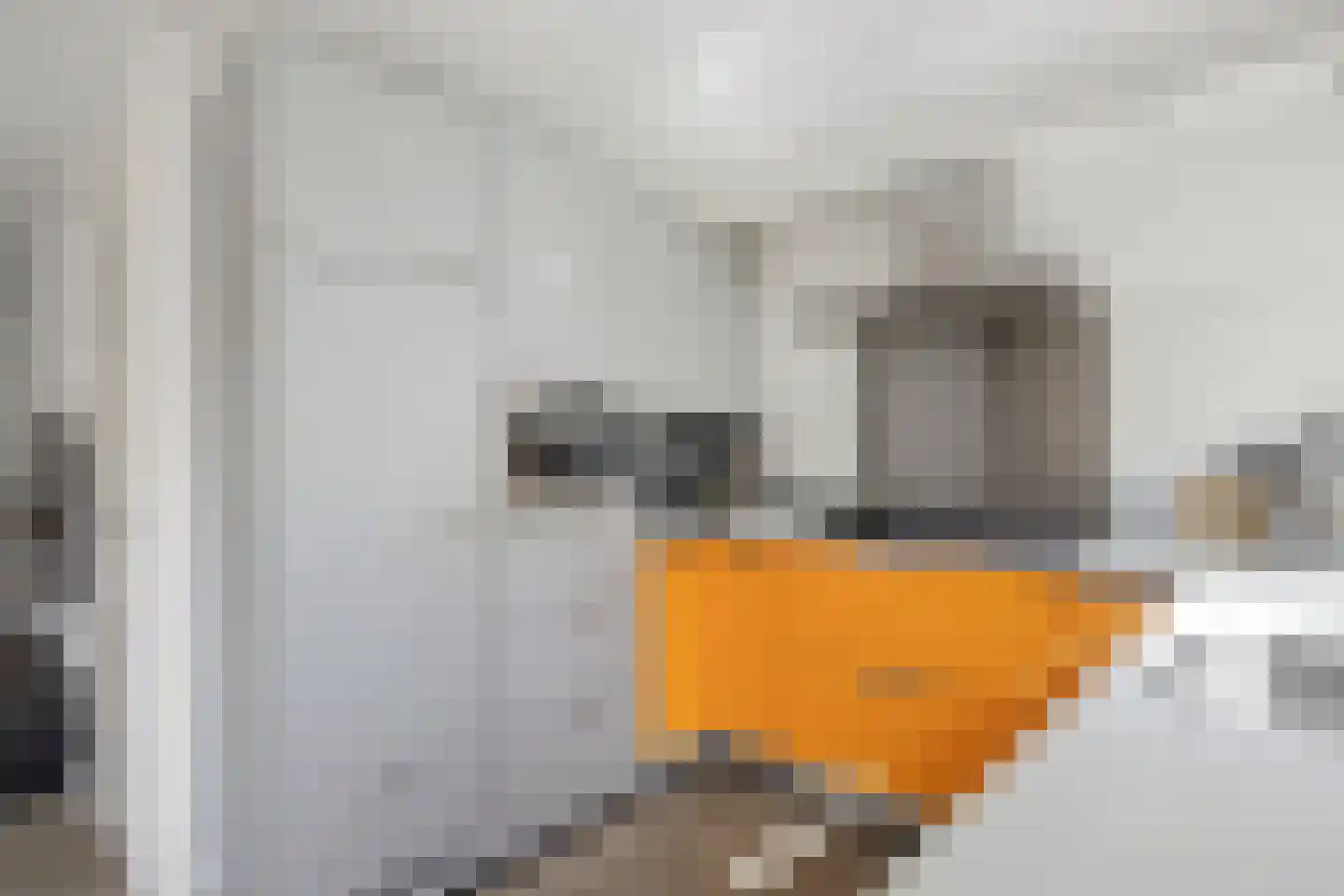 Den Uylplein 33 Vlijmen thumbnail 16