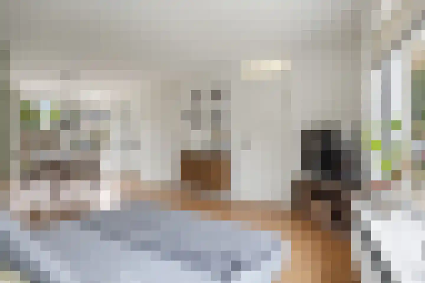 Den Uylplein 36 Vlijmen thumbnail 10