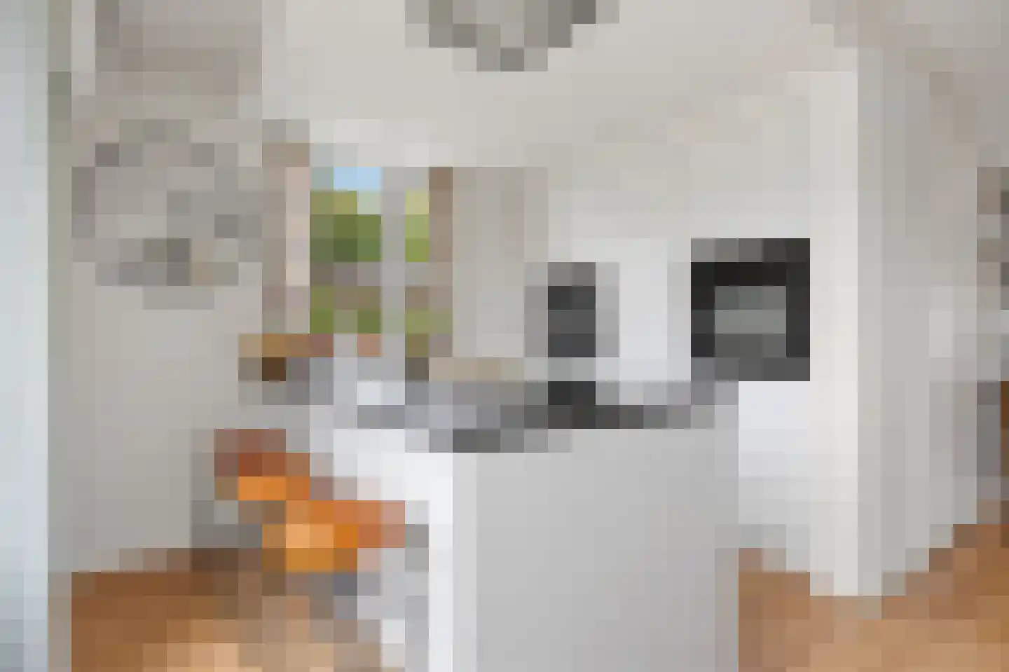 Den Uylplein 36 Vlijmen thumbnail 16