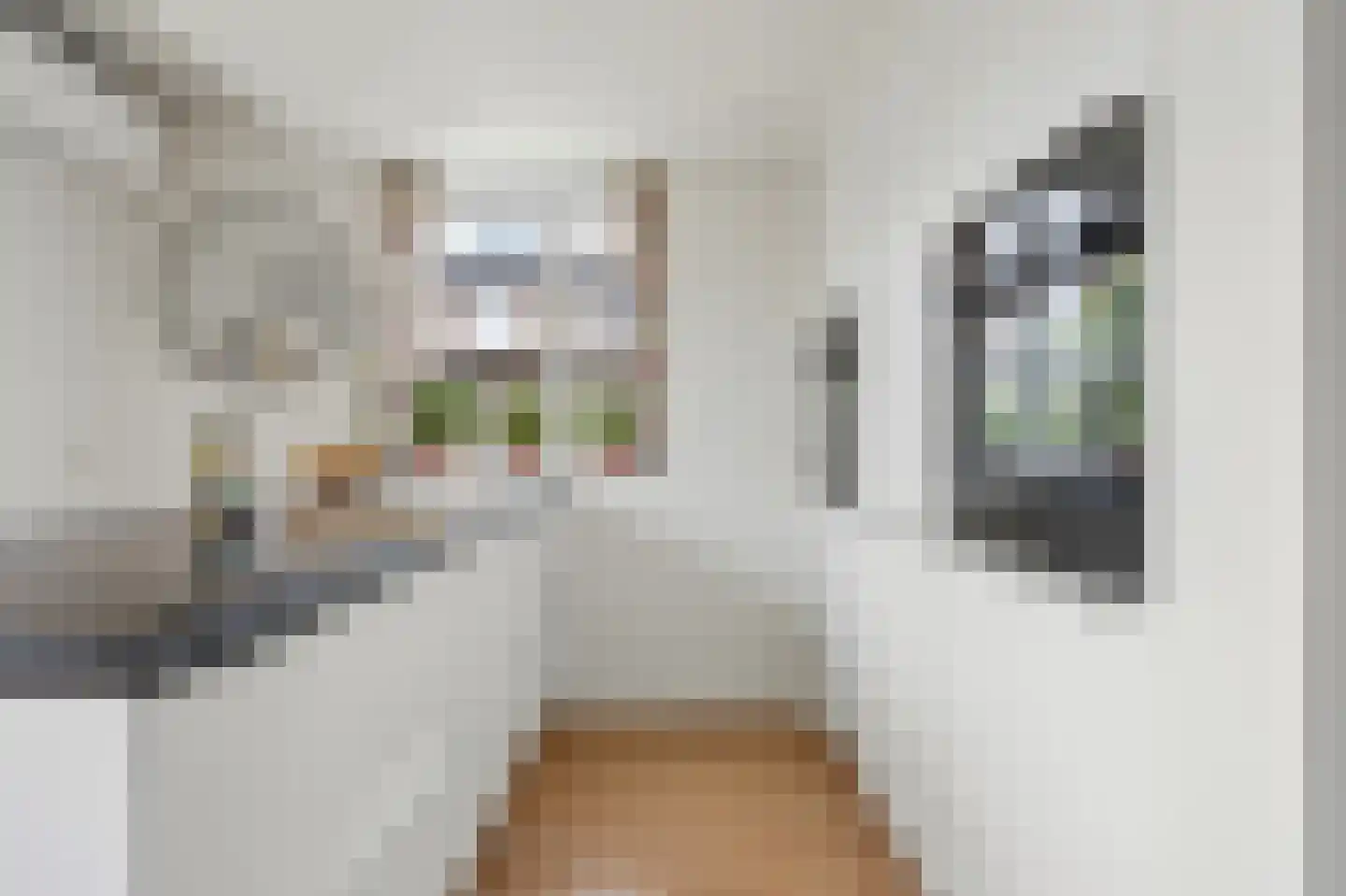 Den Uylplein 36 Vlijmen thumbnail 17