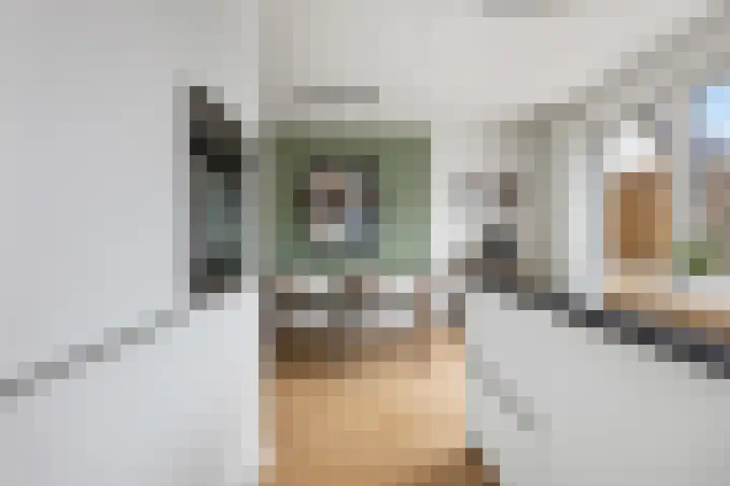 Den Uylplein 36 Vlijmen thumbnail 18