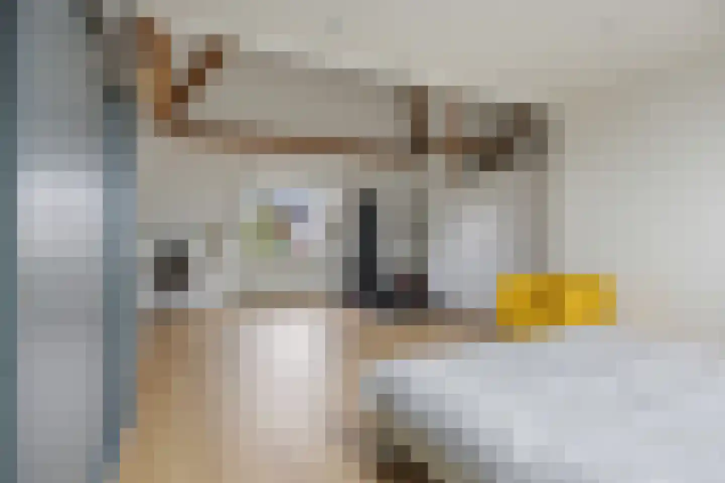 Den Uylplein 36 Vlijmen thumbnail 33