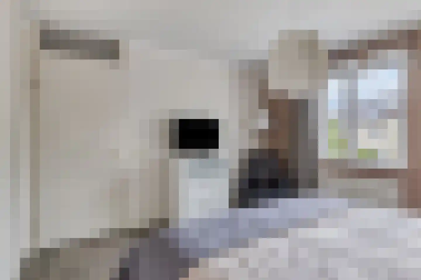 Den Uylplein 38 Vlijmen thumbnail 24