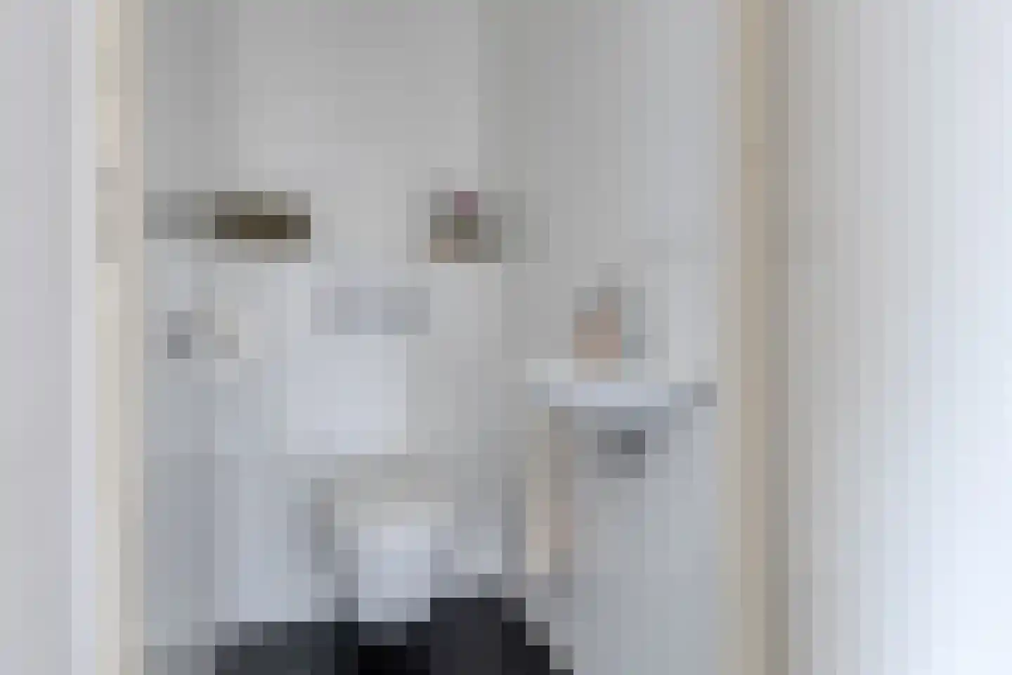 Den Uylplein 38 Vlijmen thumbnail 8
