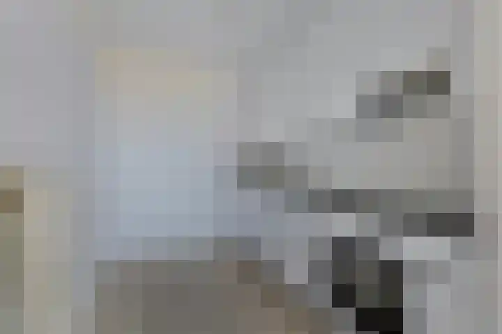 Den Uylsingel 153 Rotterdam thumbnail 7