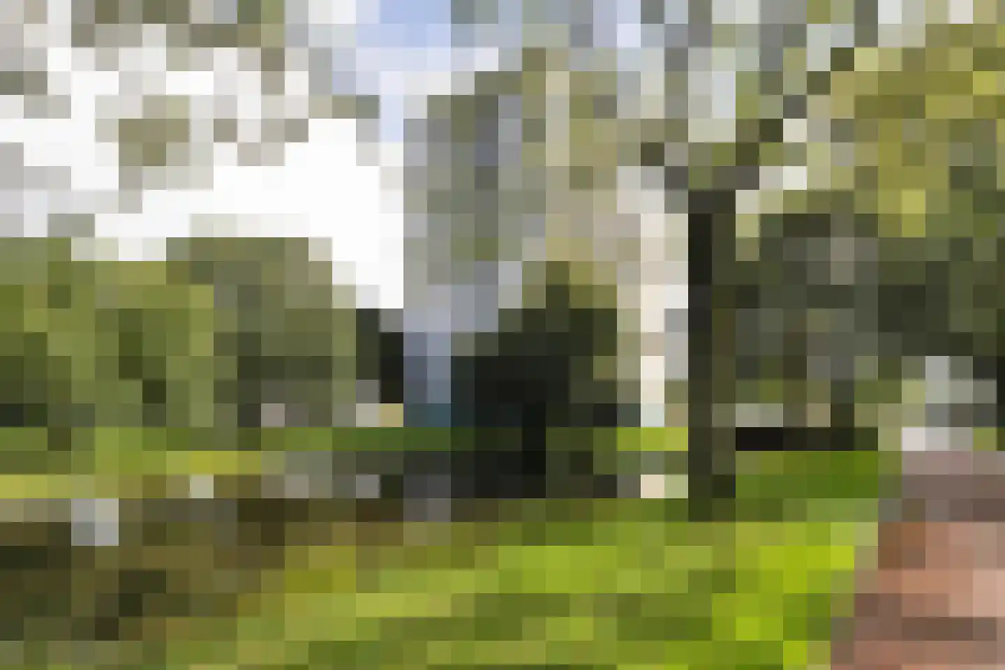 Den Uylsingel 183 Rotterdam thumbnail 34