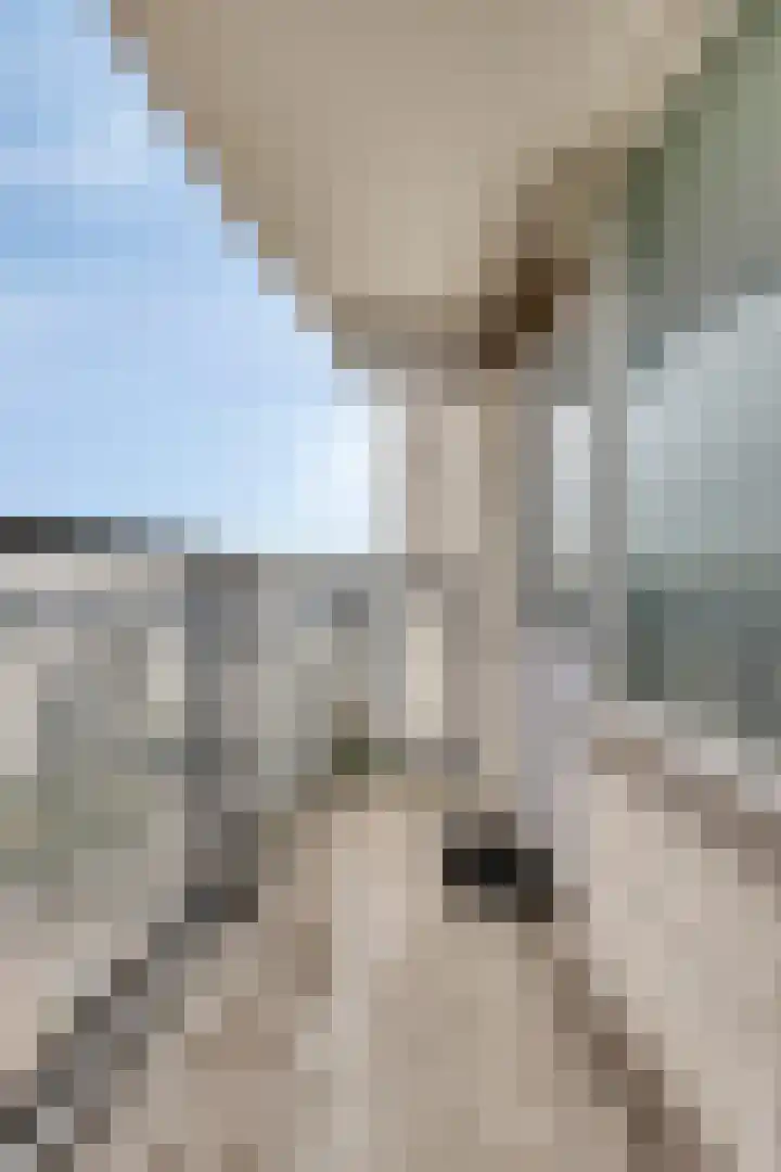 Den Uylsingel 207 Rotterdam thumbnail 6