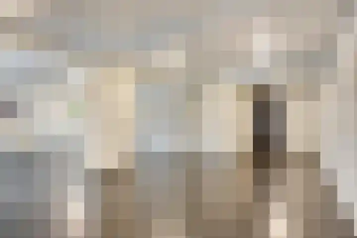 Den Uylsingel 213 Rotterdam thumbnail 10
